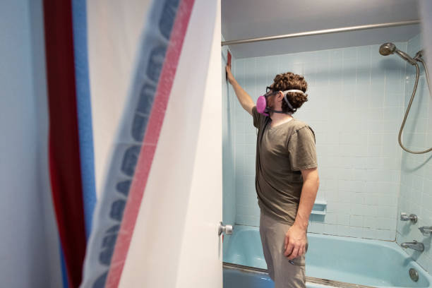 Trusted Waterville, MN Mold Removal Experts
