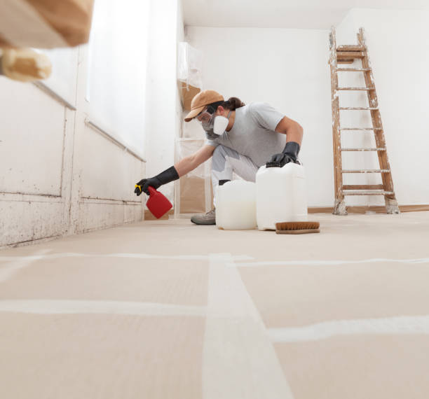 Best Mold Documentation for Insurance Claims  in Waterville, MN